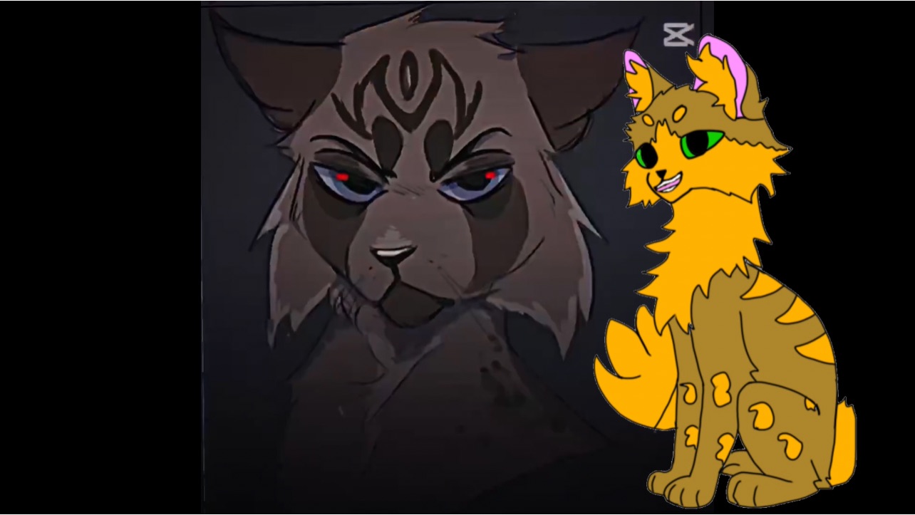 ВОПРОС- ОТВЕТ ❤️