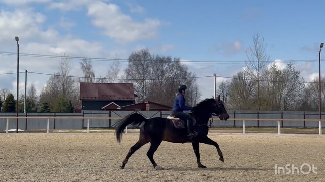 Тренировка 17.04.2026