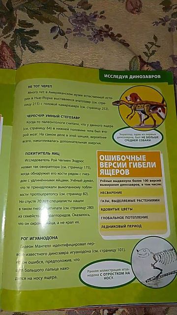 Странная ошибка в энциклопедии Дона Лессема 😧