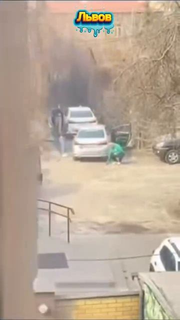 Город Львов. Тащат барана на мясокомбинат. За ноги.