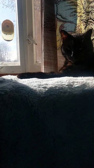 Утро у нее начинается с солнцечных ванн