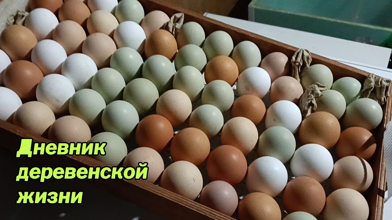 Ролик не несёт смысловой нагрузки 🤣