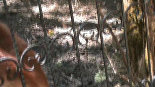 17)Б ПАРК ПОБЕДЫ ЗООПАРК