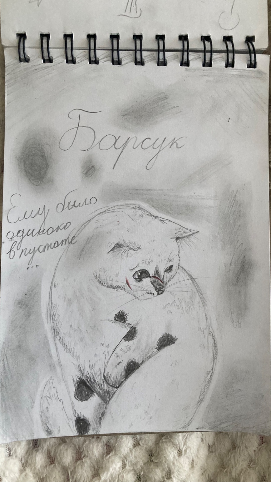 Арт на конкурс Барсука 🦡 !