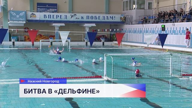 Финал Первенства России по водному поло среди девушек до 19 лет проводят в Нижнем Новгороде