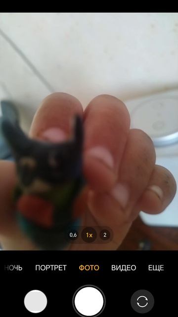 сделал из пластилина чулков 19 к