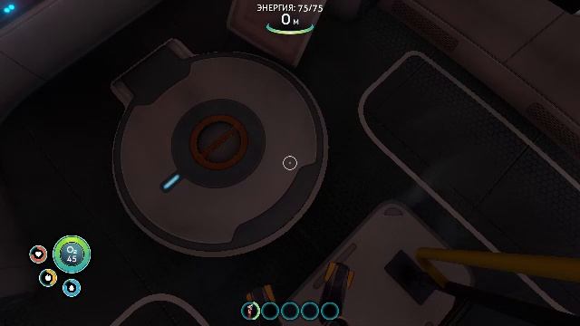 Мой первый стрим