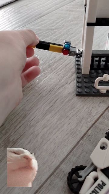 Полиция в наши дни.Оцените пж