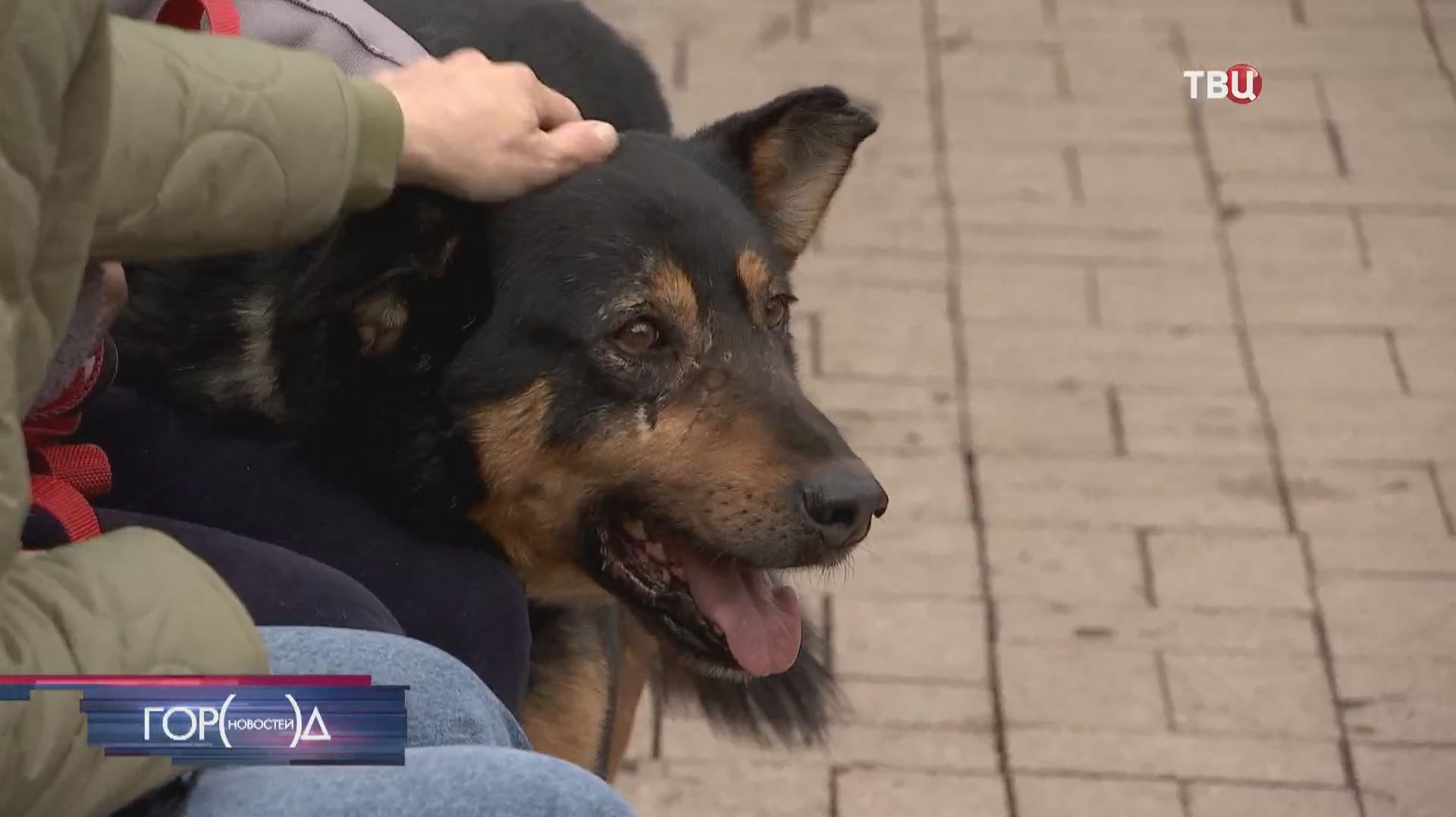 На площадке фестиваля 