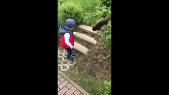 она сказала #######