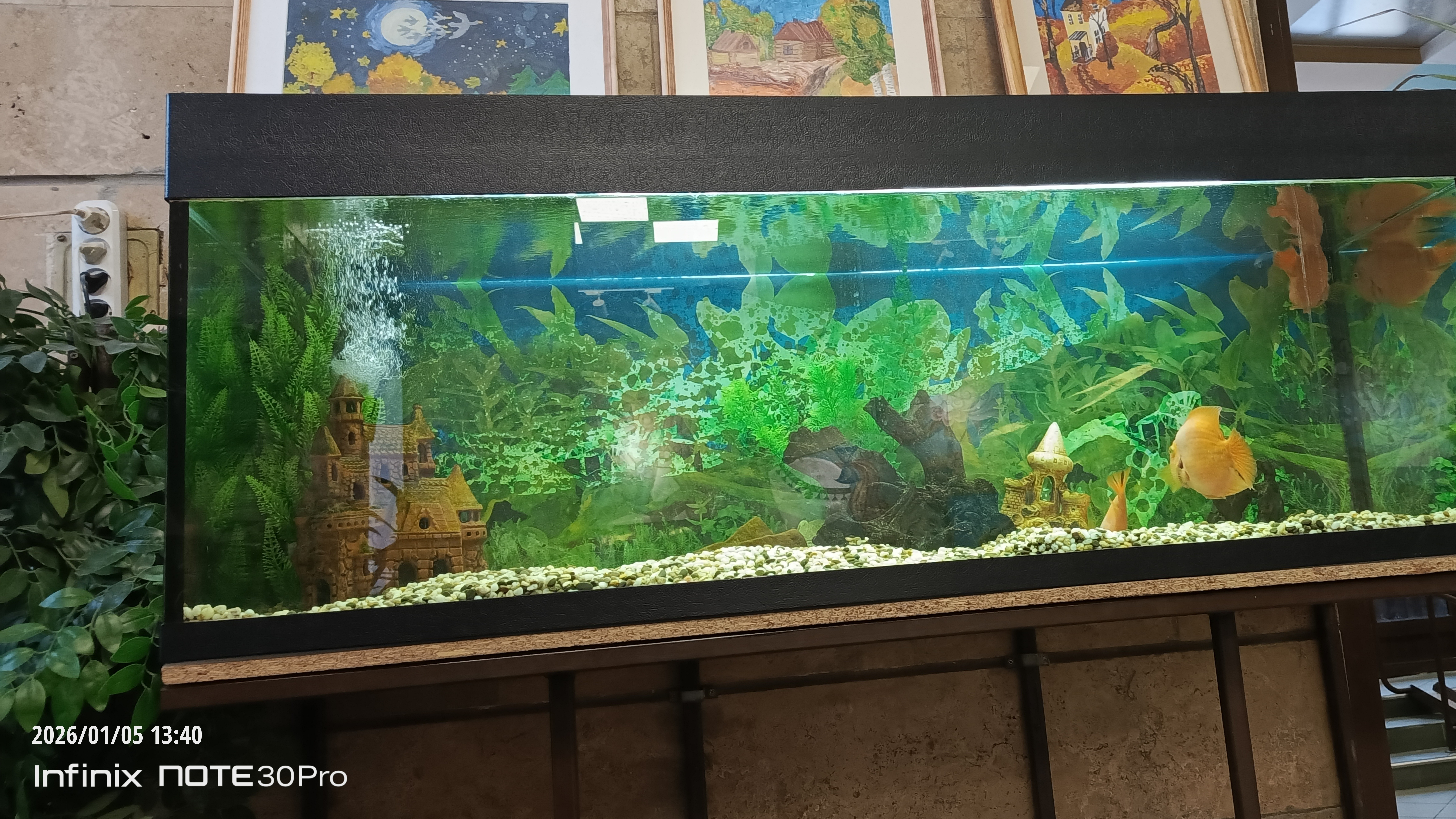 прогулка по нижнека. ну, поездка в кинотеатр.