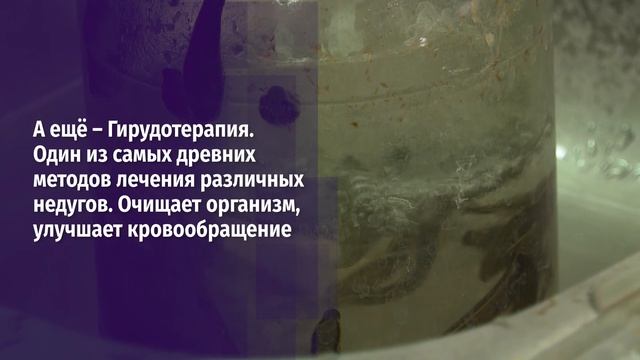 В белгородский центр медицинской реабилитации ежедневно обращается до 400 человек
