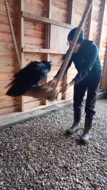 Video_2026-02-20_14-58-20