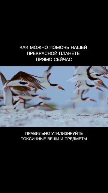 8 февраля 2023 г.