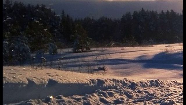 Л. Филатов. Тает жёлтый воск свечи...