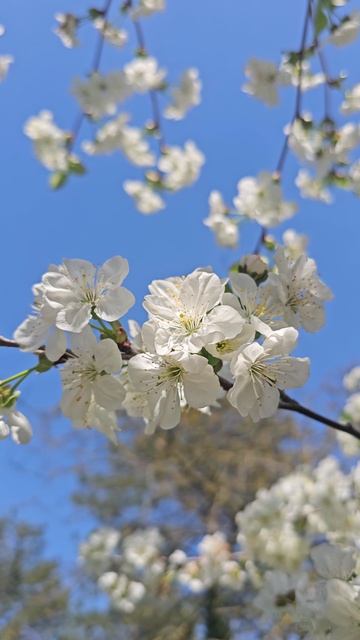 Весна — прекрасное время года, когда природа просыпается после долгого зимнего сна