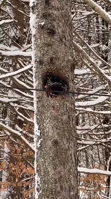 Ситуация действительно не очень хорошая!🔥