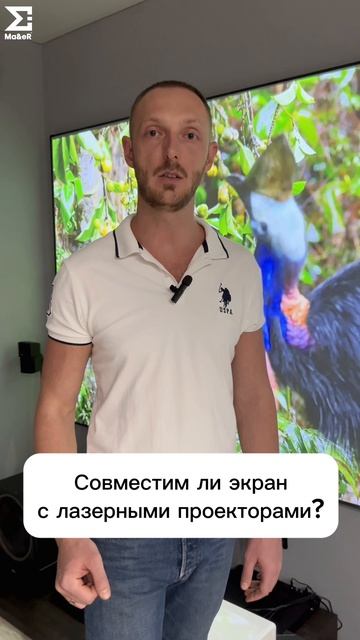 Совместим ли экран с лазерными проекторами?