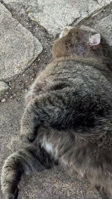 B56c3a247d358b2ccf9e9ee658265871