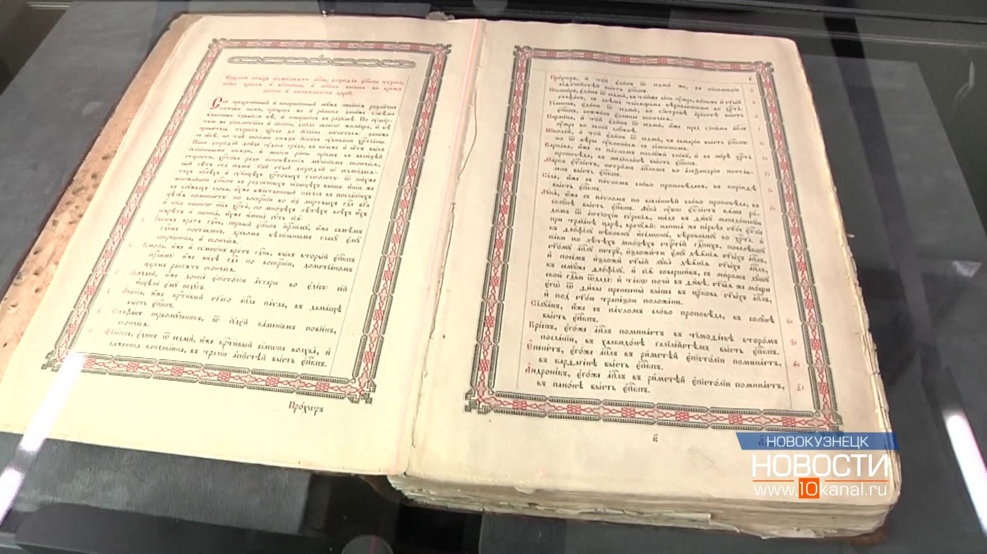 Новая цифровая жизнь