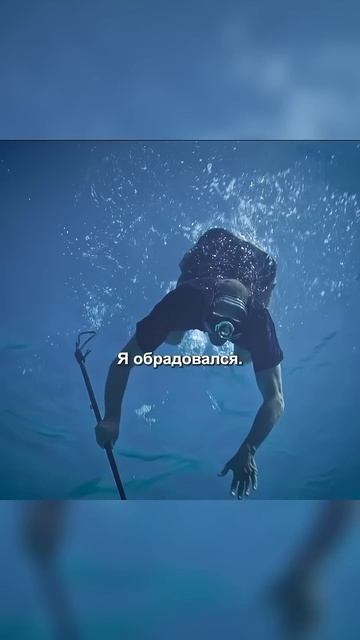 Пытаются выжить на одиноком острове. Остров на троих 2005 г.