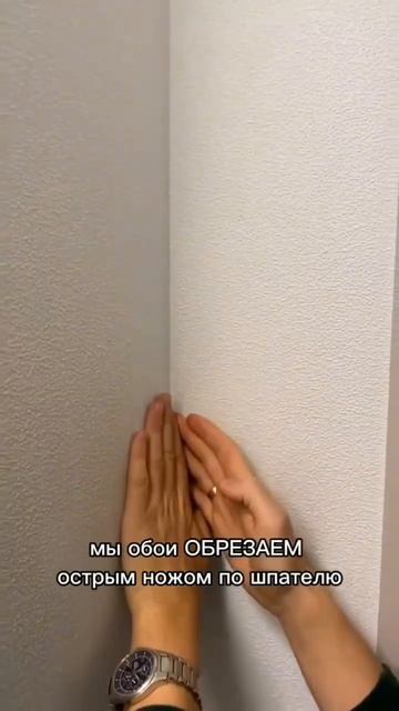 Клип Decor_design_ba