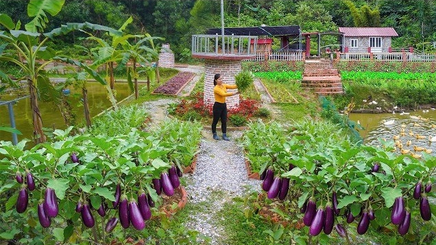 Сбор урожая овощей с фермы для продажи торговцам. Покупаю утят для выращивания. Серия 91. Ли Фук Ви