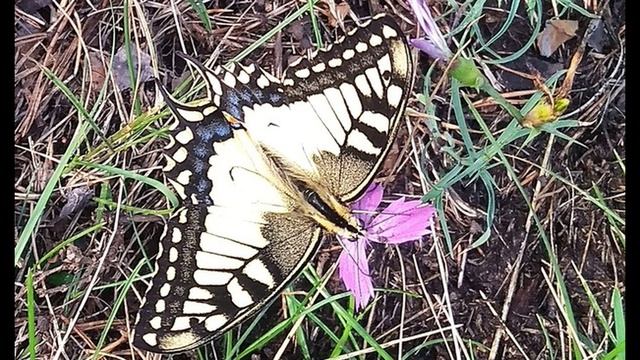 Л. Захаров. Свой путь