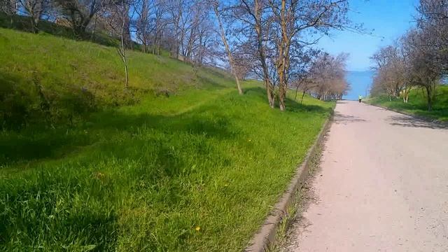 Вода чистая в заливе!