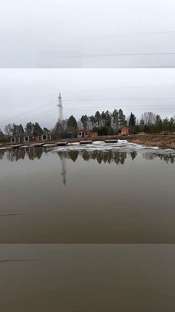 КАК ЛОВИТЬ ФОРЕЛЬ КРАСИВО  #рыбалка #fishing #norstream