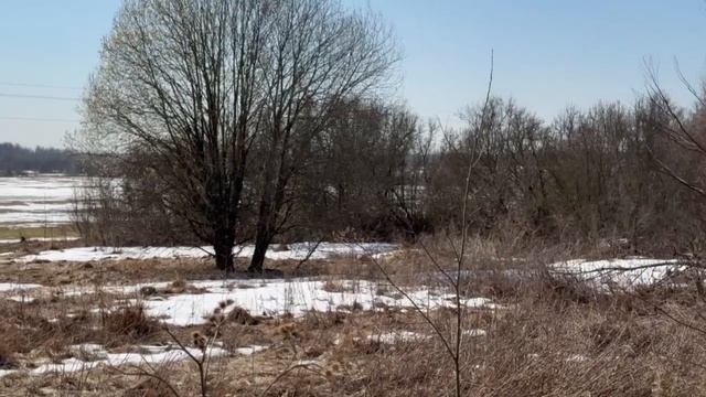 д. Сельцы 50:18:0070310:454