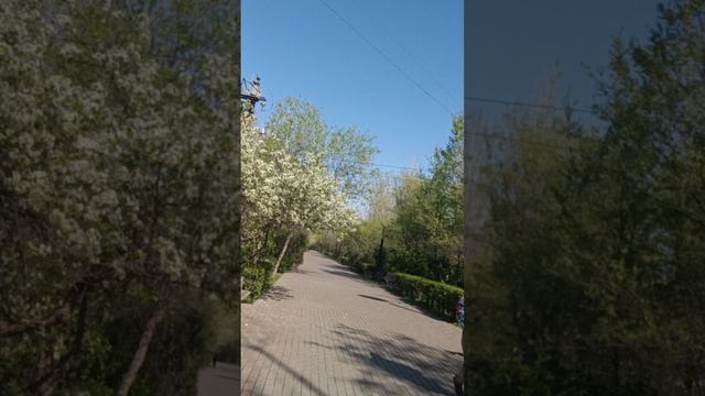 Пошла устранять брак по шилаку.