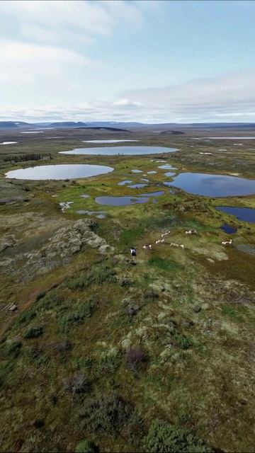 Прекрасные пейзажи дикой природы #природа #пейзажи #дикаяприрода