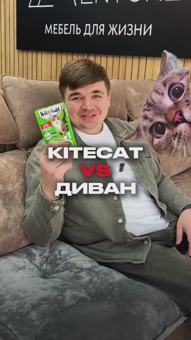 😱 Kitecat на диване?! Мы думали это не отмоется