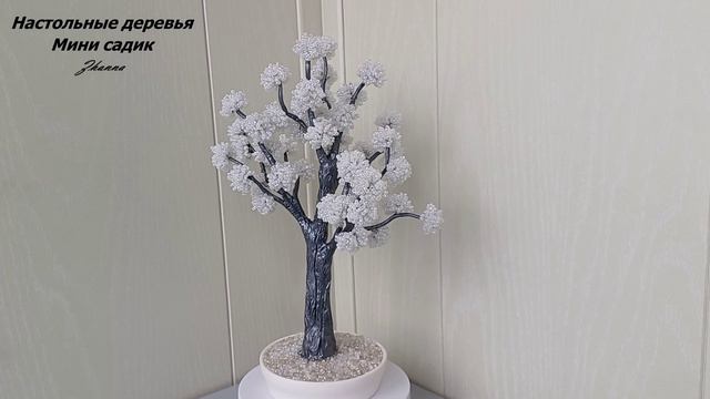 Настольные деревья, ловцы солнца (комнатные, садовые). Https://t.me/minigardenZ