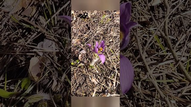 Прекрасный день