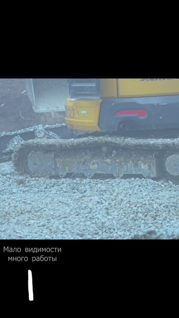 Миник в тумане #shorts