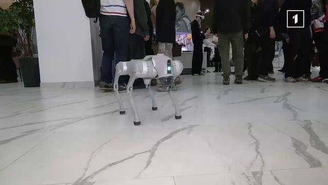 🧹Искусственный интеллект: друг, соперник или проводник в будущее? Фестиваль робототехники в ДНР!