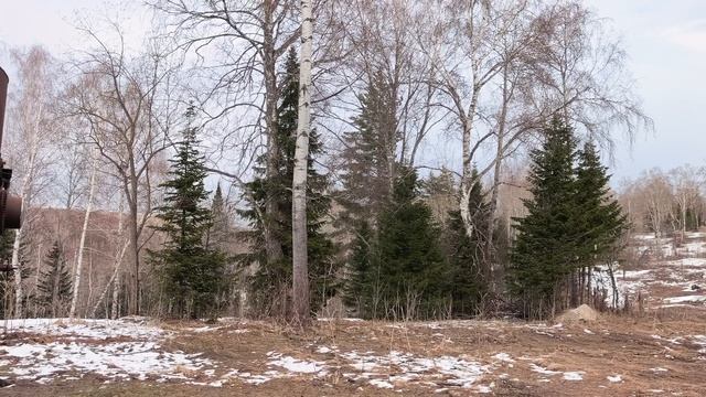 БЕЛОКУРИХА 2. ГРАВИЦАПА