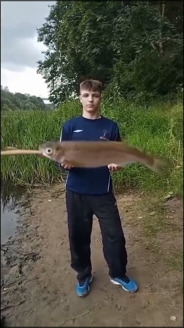 Видео от Департамент Кринжовых Видосов | ДКВ