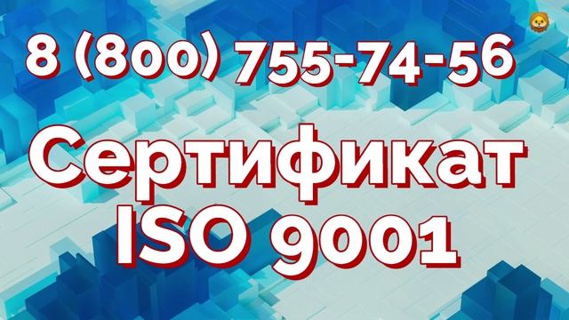 Сертификат систем качества Iso 9001