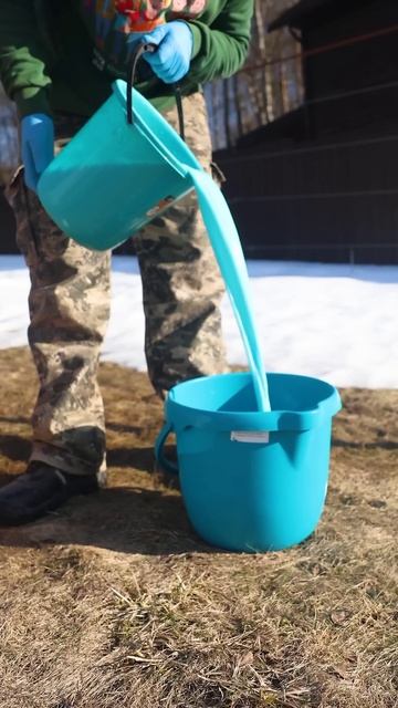 Эта обработка избавит сад от болезней! Простой эффективный рецепт и это не бордоская смесь