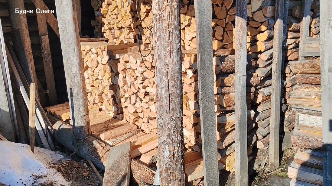 Купил капли от клещей для собаки. Подарок от подписчика. Складываю дрова в поленицу.15.04.26
