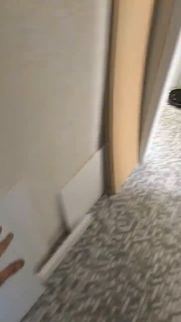 Будни Сбор Шкафа Жизнь Кошки