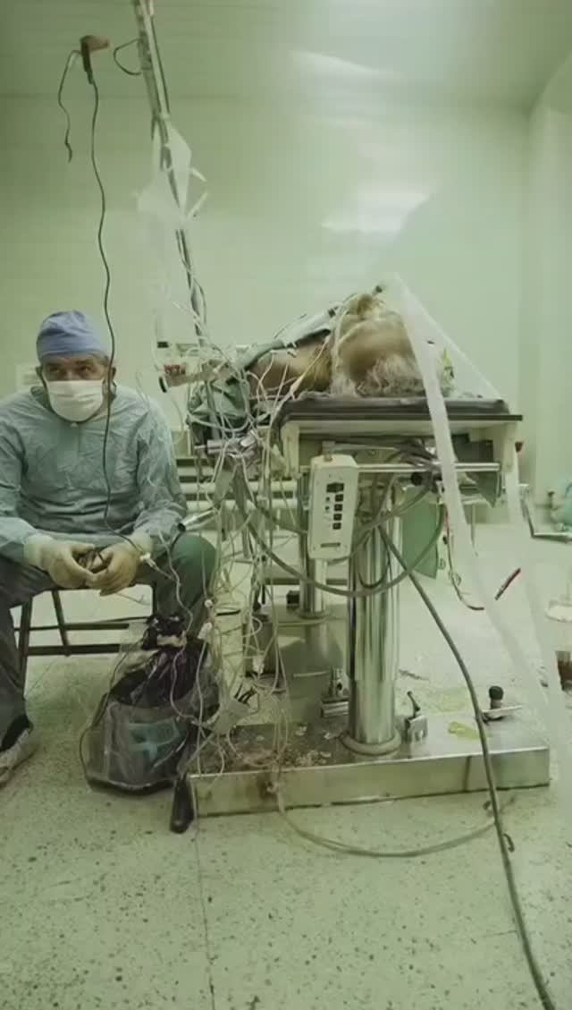 ХИРУРГ, КОТОРЫЙ ПРОВЁЛ 23‑ЧАСОВУЮ ОПЕРАЦИЮ ПО ПЕРЕСАДКЕ СЕРДЦА