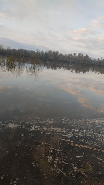 Отражение облаков,в р.Ока.17.04.2026г.