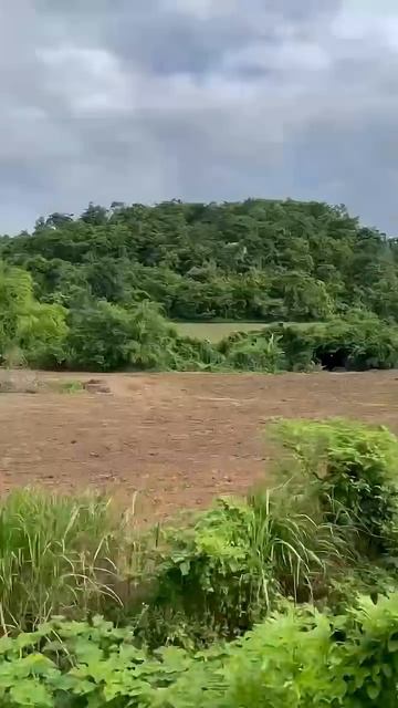 Обычный поезд в Таиланде