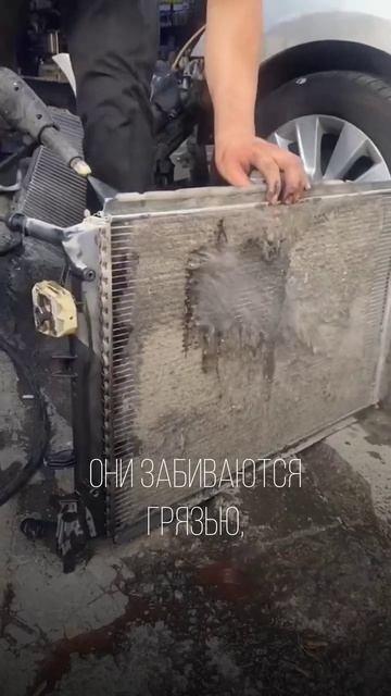 3 ошибки после зимы