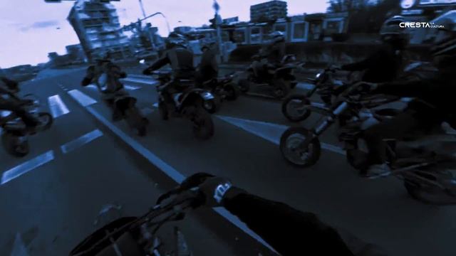 Insane (Single Version)