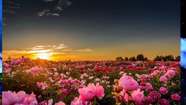 Алексея  готовят к Радонице.